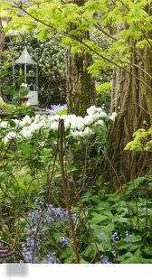 L'Ami des Jardins 1186 Le Jardin retiré (Orne)