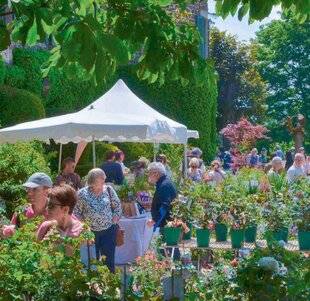L'Ami des Jardins 1187 Graines de jardinier