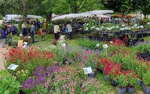 L'Ami des Jardins 1187 20 ans de passion