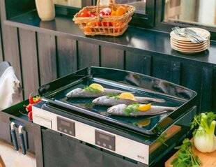 L'Ami des Jardins 1187 Plancha made in France