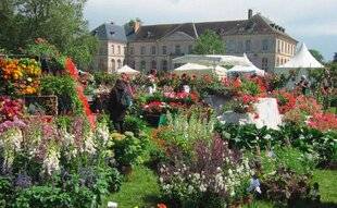 L'Ami des Jardins 1187 Les 25e Journées de la rose