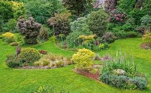 L'Ami des Jardins 1187 PASSION ÉRABLES