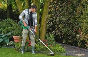 L'Ami des Jardins 1187 DÉBROUSSAILLER sans tout raser