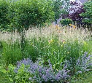 L'Ami des Jardins 1187 CRÉER DES BORDURES VÉGÉTALES