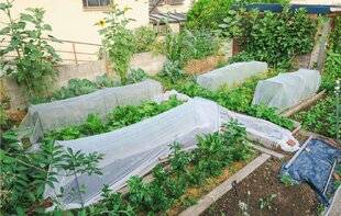 L'Ami des Jardins 1187 ARCEAUX SUR MESURE