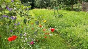 L'Ami des Jardins 1187 DE L'ESPACE POUR LA BIODIVERSITÉ
