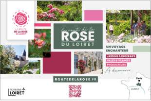 L'Ami des Jardins 1187 la route de la ROSE DU LOIRET