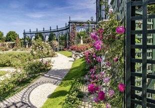 L'Ami des Jardins 1188 LA ROSERAIE DU VAL-DE-MARNE