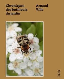 L'Ami des Jardins 1188 Chroniques des butineurs du jardin