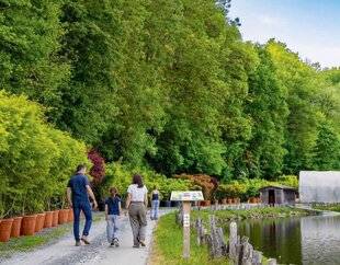 L'Ami des Jardins 1188 PARTEZ EN RANDONNÉE À TRAVERS L'UNE DES PLUS GRANDES PÉPINIÈRES DE FRANCE