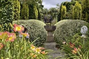 L'Ami des Jardins 1188 UN ÉDEN BRETON