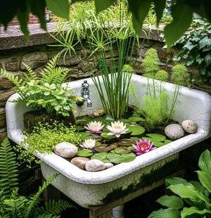 L'Ami des Jardins 1188 AMÉNAGER UN COIN DE FRAÎCHEUR