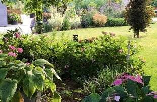 L'Ami des Jardins 1188 TOUJOURS ATTRAYANT
