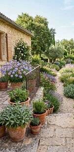 L'Ami des Jardins 1188 LA SAUGE OFFICINALE