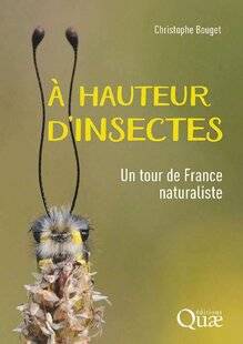 L'Ami des Jardins 1189 À hauteur d'insectes