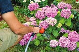 L'Ami des Jardins 1189 QUE SE PASSE-T-IL QUAND ON ARROSE ?