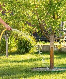 L'Ami des Jardins 1189 POURQUOI ARROSER ?