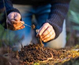 L'Ami des Jardins 1189 PRÉPARER LA PLANTATION DES ARBRES FRUITIERS