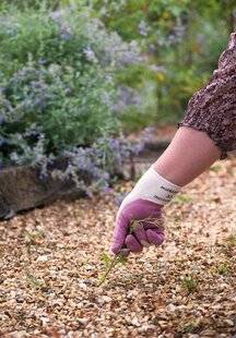 L'Ami des Jardins 1189 MES ALLÉES EN GRAVIER SONT ENVAHIES