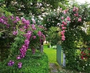 L'Ami des Jardins 1189 DANS L'OISE