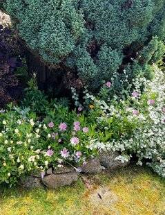 L'Ami des Jardins 1189 UN JARDIN SANS ACHATS