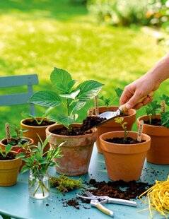 L'Ami des Jardins 1189 NOS ASTUCES DE A À Z