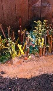 L'Ami des Jardins 1189 BOIS SEC