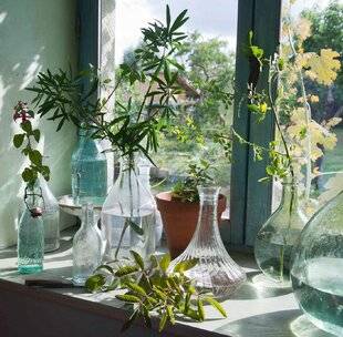 L'Ami des Jardins 1189 DANS L'EAU