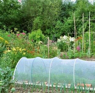 L'Ami des Jardins 1189 DES VOILES CONTRE LES RAVAGEURS