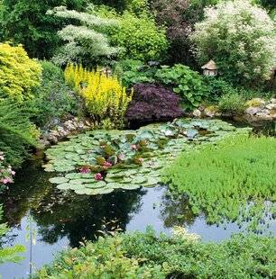 L'Ami des Jardins 1189 BIEN GÉRER L'EAU