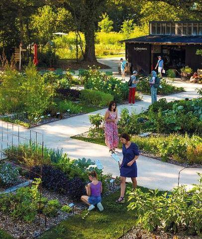 L'Ami des Jardins 1190 ÇA SE PASSE EN VENDÉE