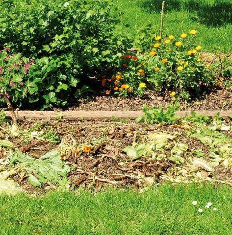 L'Ami des Jardins 1190 COMPOSTAGE DE SURFACE