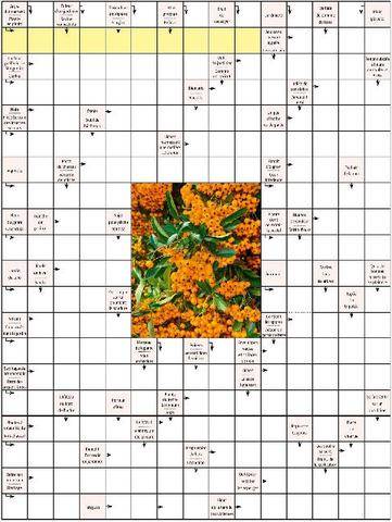 L'Ami des Jardins 1190 JEUX