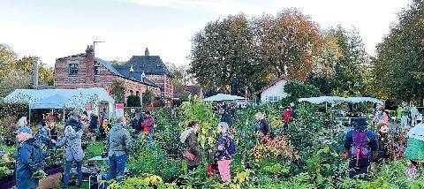 L'Ami des Jardins 1191 ÇA SE PASSE EN NORMANDIE