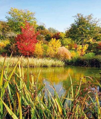 L'Ami des Jardins 1191 ÇA SE PASSE EN ISÈRE