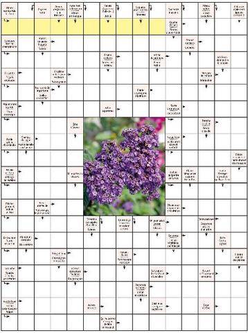 L'Ami des Jardins 1191 JEUX