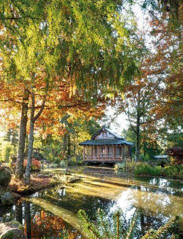 L'Ami des Jardins 1191 Fukutsu-en LE JARDIN DU TEMPS RALENTI