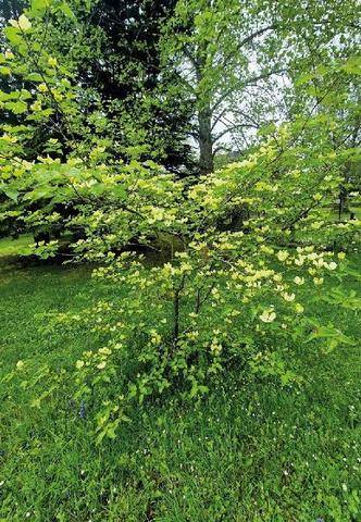 L'Ami des Jardins 1191 ON PARTAGE TOUT