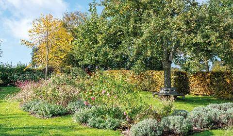 L'Ami des Jardins 1192 CARNET D’ADRESSES
