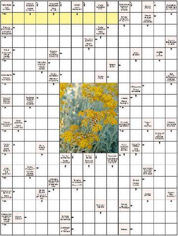 L'Ami des Jardins 1192 MOTS FLÉCHÉS