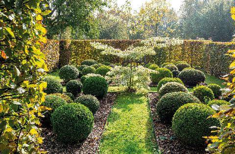 L'Ami des Jardins 1192 La Petite Roche LE TEMPS COMME JARDINIER