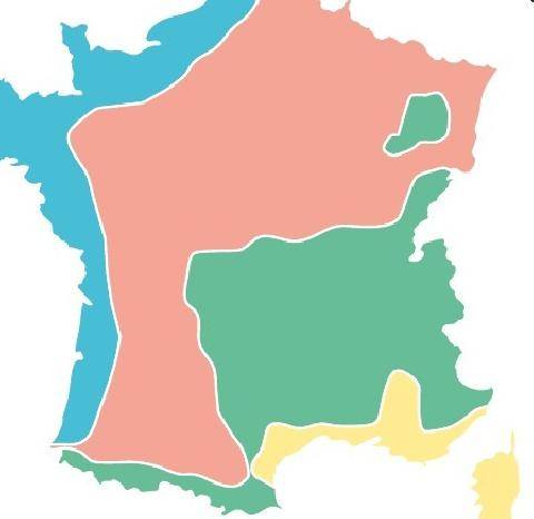 L'Ami des Jardins 1192 LE BUIS AFRICAIN SE MOQUE DE LA PYRALE