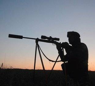 Grand Gibier 110 CHASSER LE SANGLIER TOUTE L'ANNÉE ENFIN DES SOLUTIONS ?