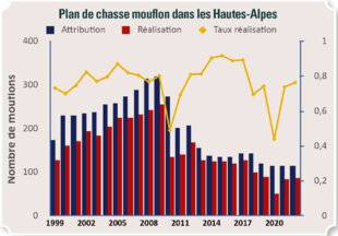 Grand Gibier 110 LES LOUPS ONT FAIT DES COUPES CLAIRES DANS LES EFFECTIFS D'OVINS SAUVAGES