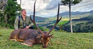 Grand Gibier 110 MAURICE : DES CERFS AU PARADIS