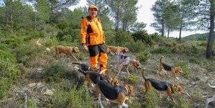 Grand Gibier 111 La chasse est une fête sans cesse renouvelée