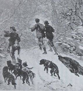 Grand Gibier 111 Le sanglier des Ardennes