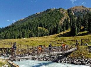 Grand Gibier 111 Grandes chasses au cerf maral kazakh