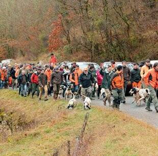 Grand Gibier 112 AGENDA CHIENS COURANTS