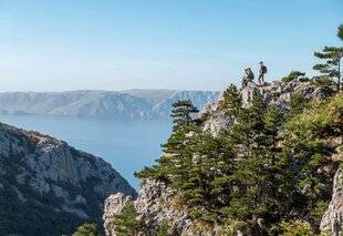 Grand Gibier 112 Un mouflon last minute !